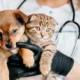 Sick Pet Care