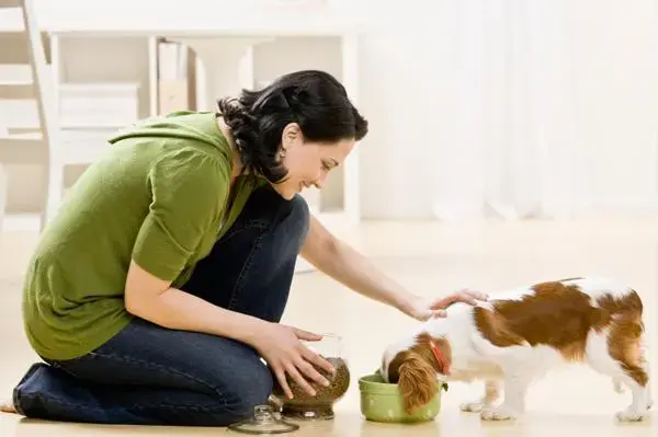 Loving Pet Care