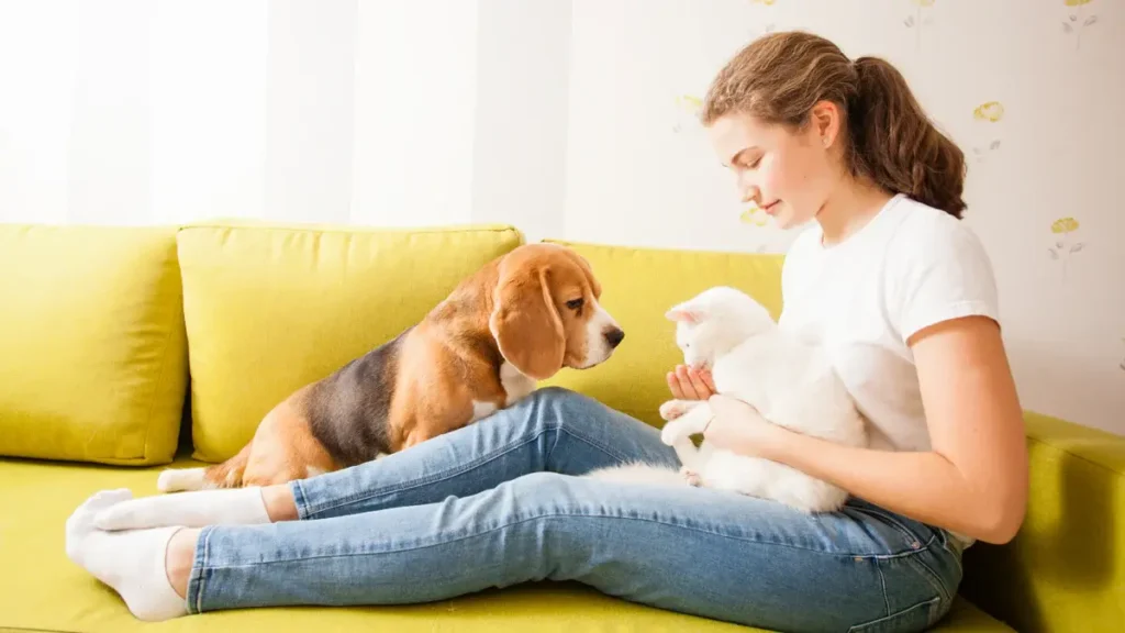 Spot Pet Care Raleigh