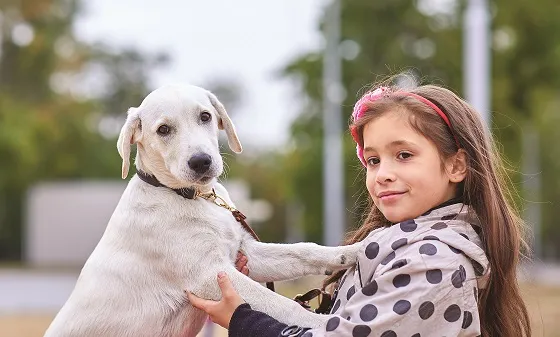 Start a Pet Care Blog
