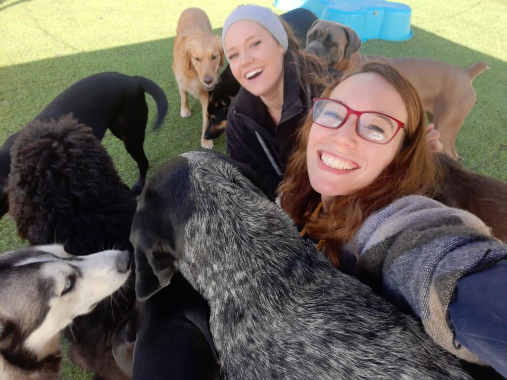 Start a Pet Care Blog