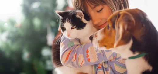 Gentle & Trusted Tender Loving Pet Care for All Breeds