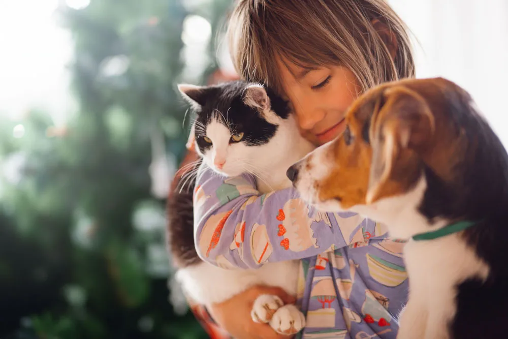 Gentle & Trusted Tender Loving Pet Care for All Breeds