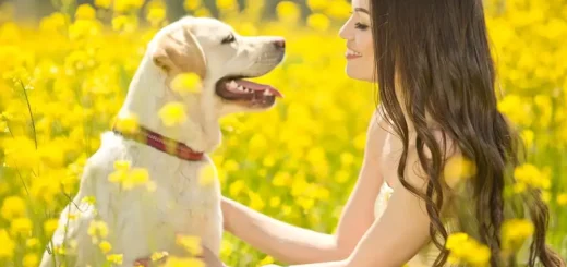 The Pet Care Center