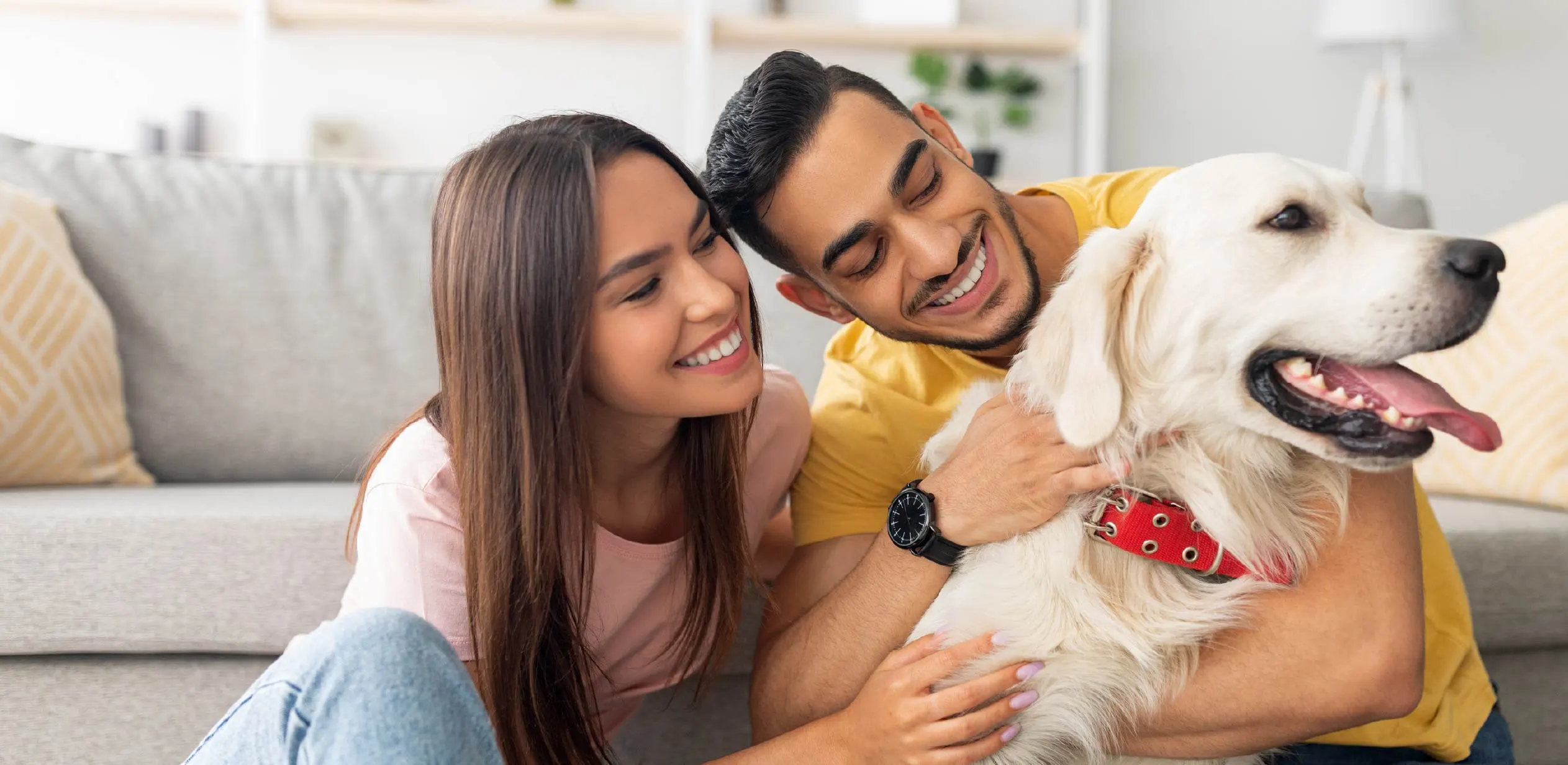 United pet care benefits
