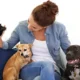 pet care plan