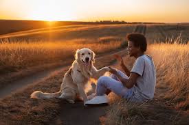 united pet care benefits