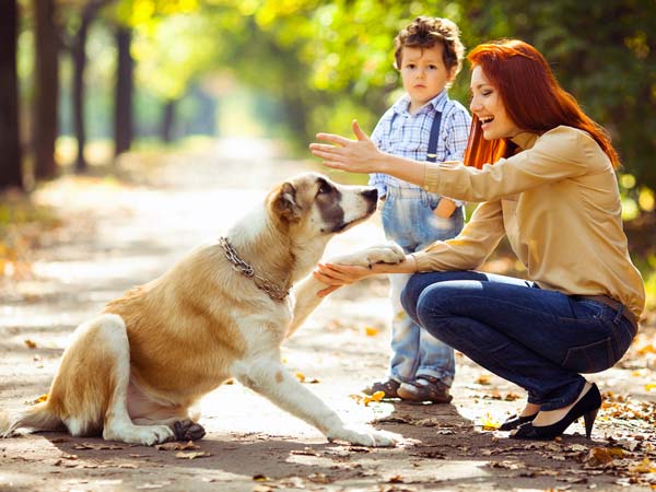 pet care while on vacation