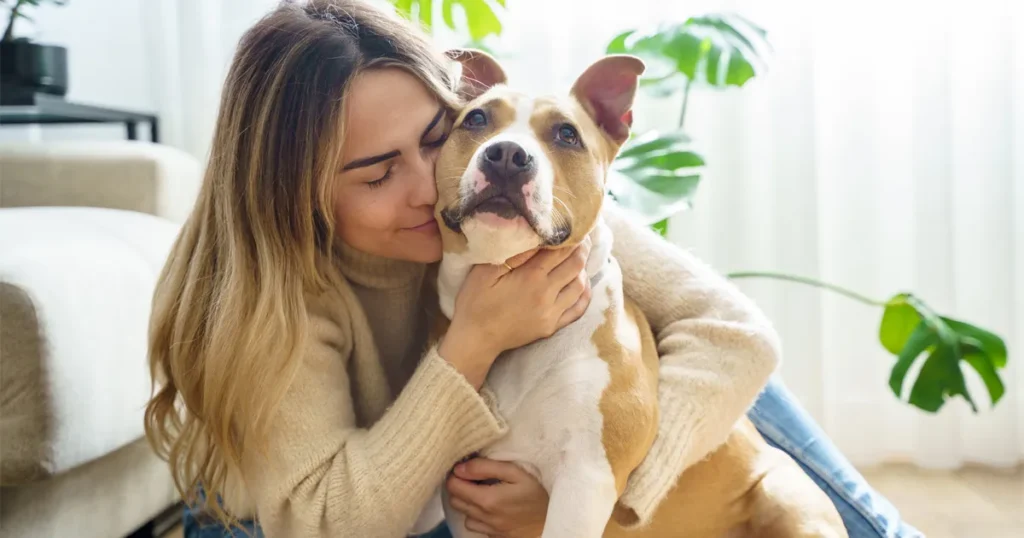 pet care while on vacation
