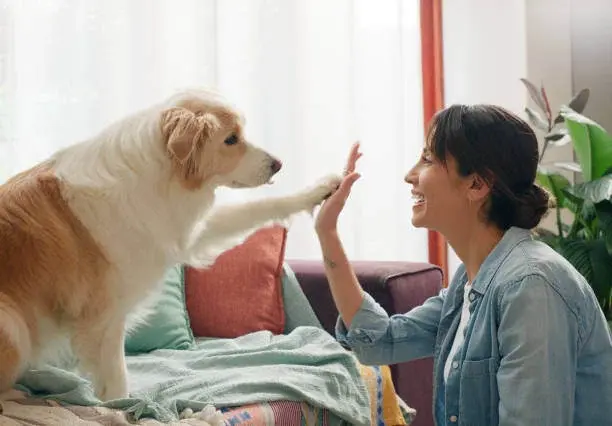 Quality Pet Care