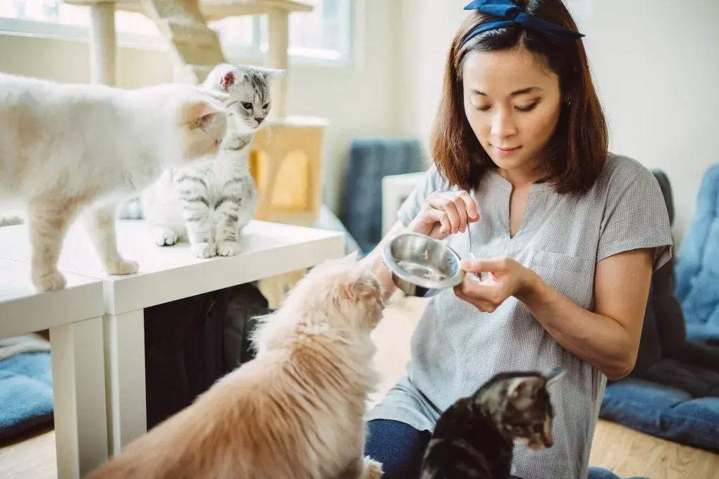Quality Pet Care