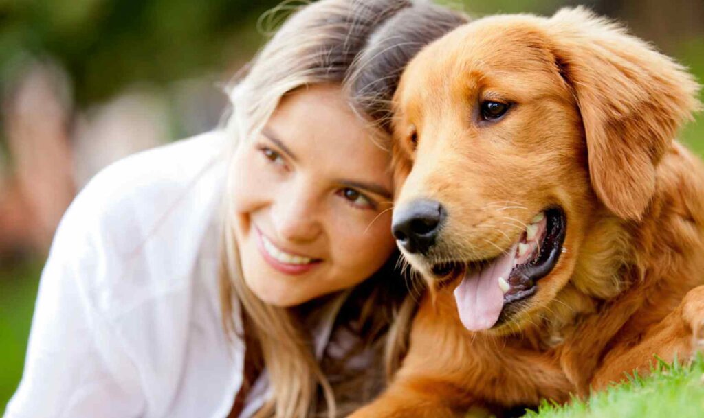 the pet care center