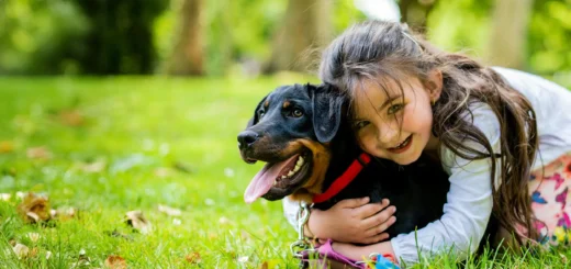 All Creatures Pet Care: Happy, Healthy Pets