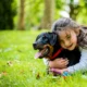All Creatures Pet Care: Happy, Healthy Pets