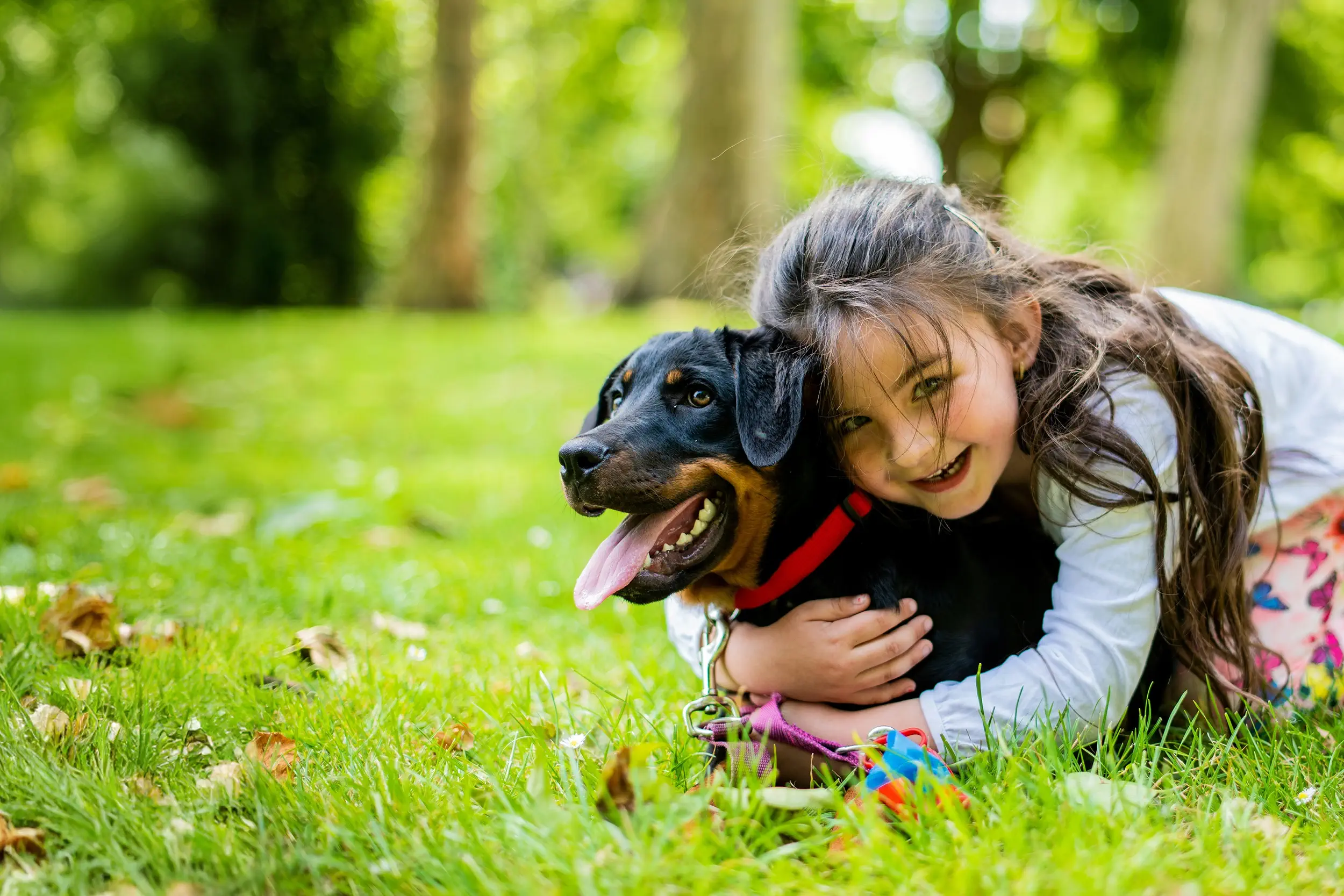 All Creatures Pet Care: Happy, Healthy Pets
