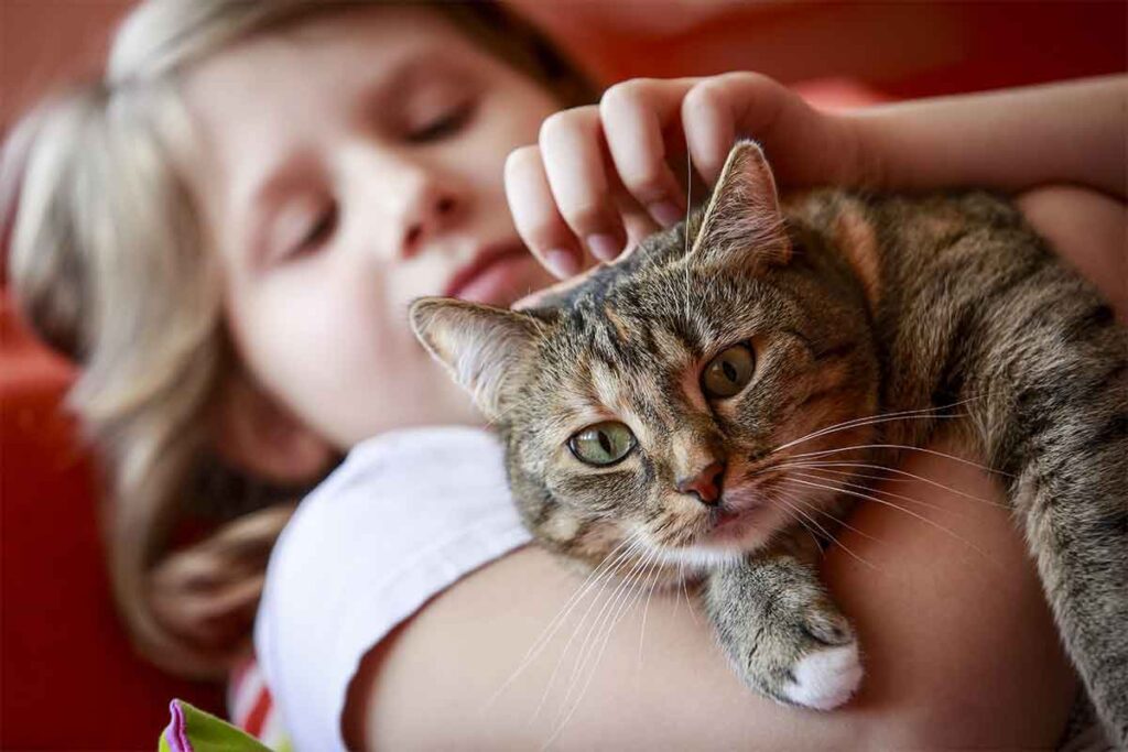Certificate in Pet Care: Your Path to a Rewarding Career