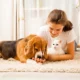 Fetch Pet Care Seattle