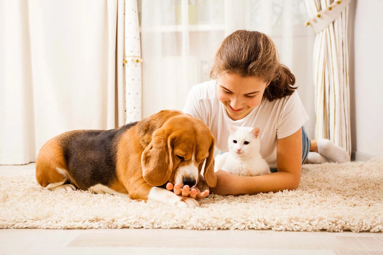 Fetch Pet Care Seattle