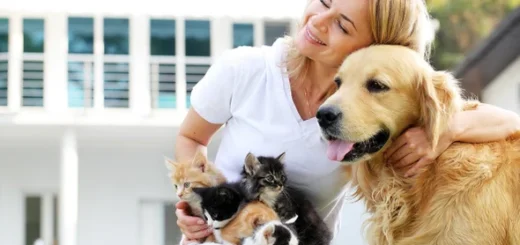 Fetch Pet Care Tucson