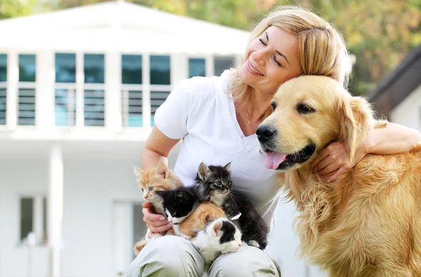 Fetch Pet Care Tucson