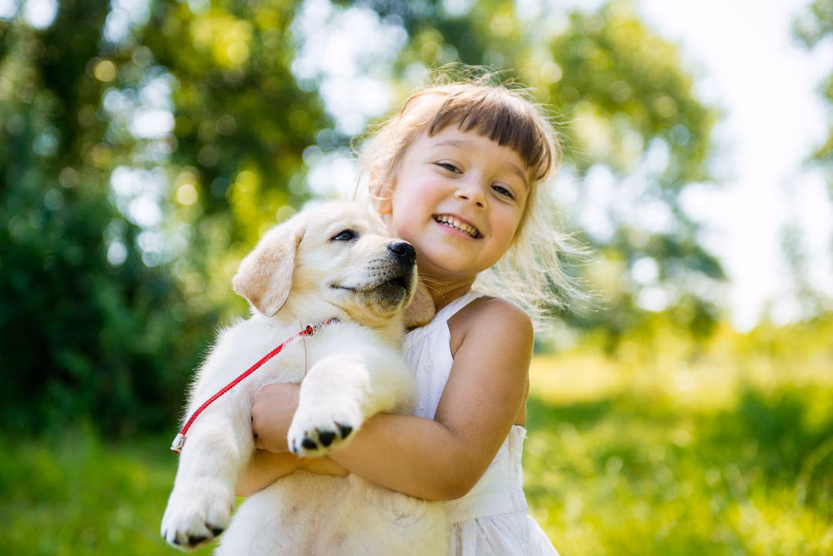 The Best Way to Train a Puppy