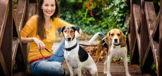 Bucks County Pet Care