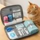 Pet Health Care Without Vet: Your Home Resource