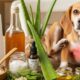 Natural Remedies for Dog Skin Allergies